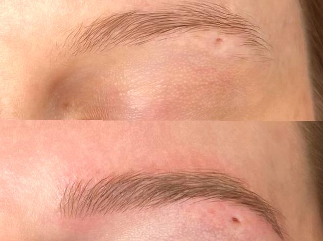 Contrast Between Ombre Microblading and Ombre Powder Brows