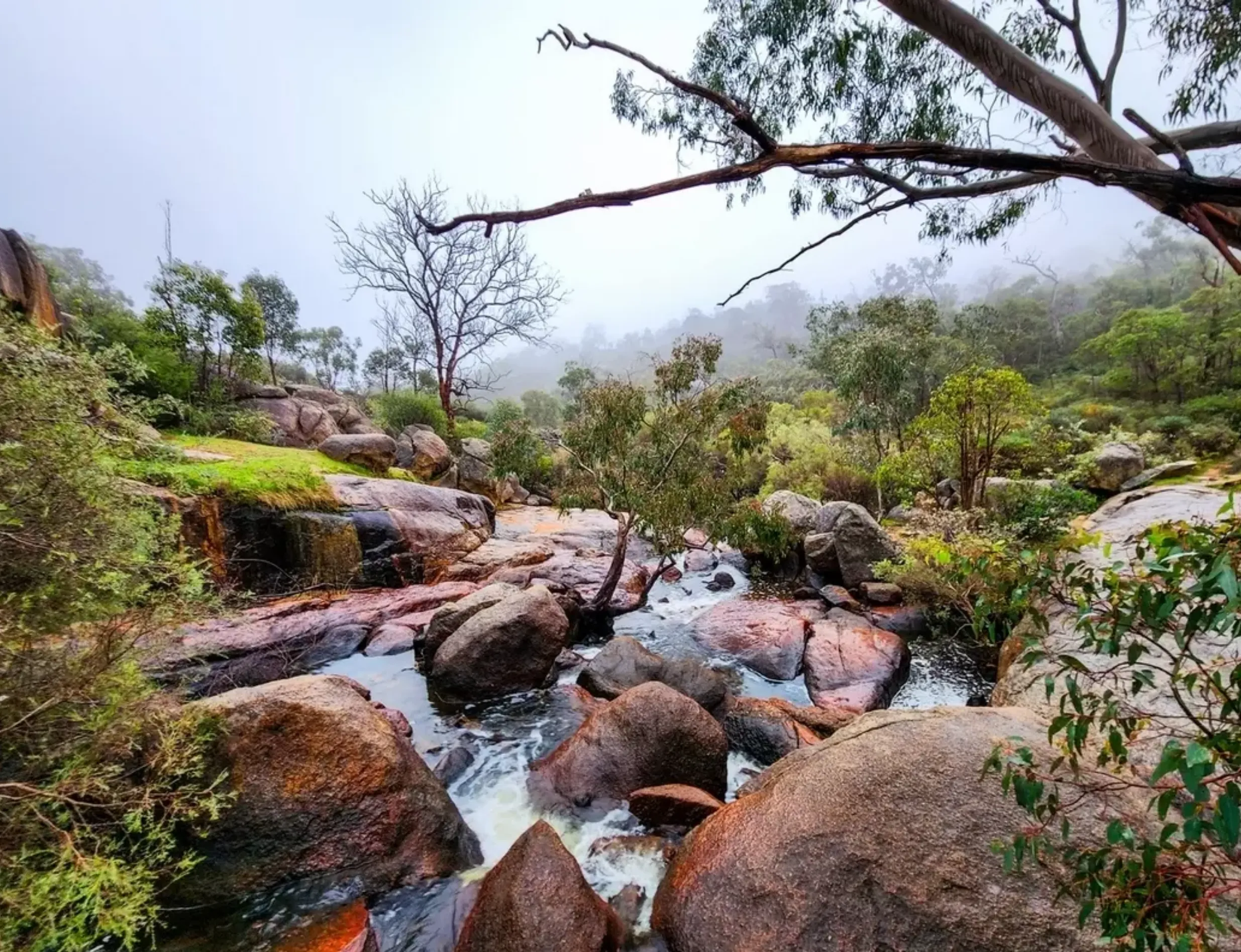 WA recovery travel experiences